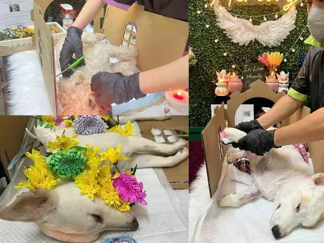 Ở Nông Thôn Ở Nông Thôn