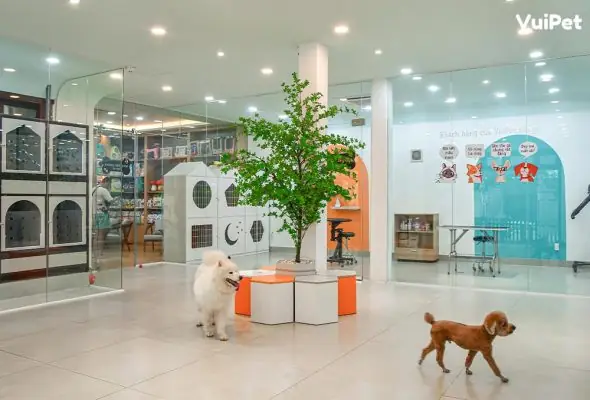 Dich-vu-cham-soc-thu-cung-vuipet-1