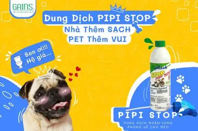 Cách Chăm Sóc Cho Pug