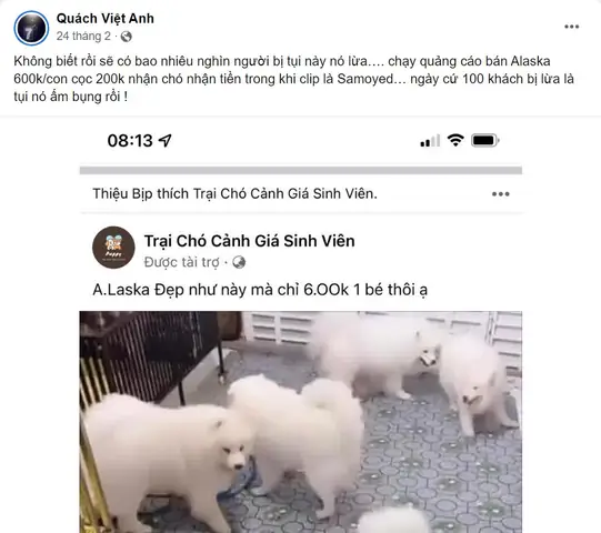 Azpet Canh Bao Lua Dao (2)