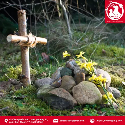 Chó Mèo Chết Chôn Ở Đâu