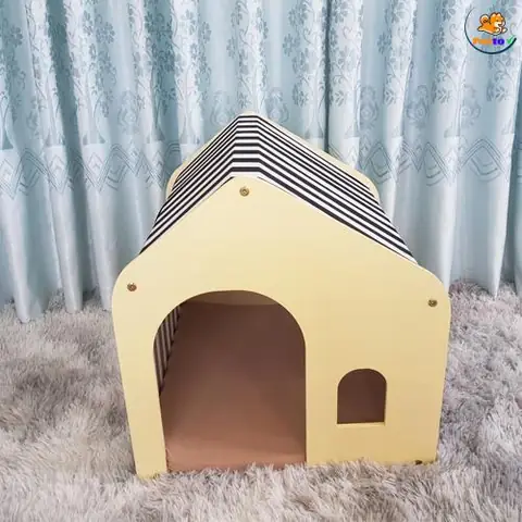 Chó Mèo Có Kinh Nguyệt Không