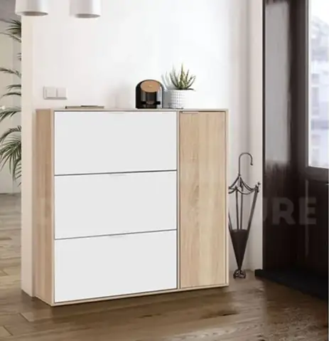 Giới Thiệu Các Mẫu Tủ Giày Gỗ Tiêu Biểu