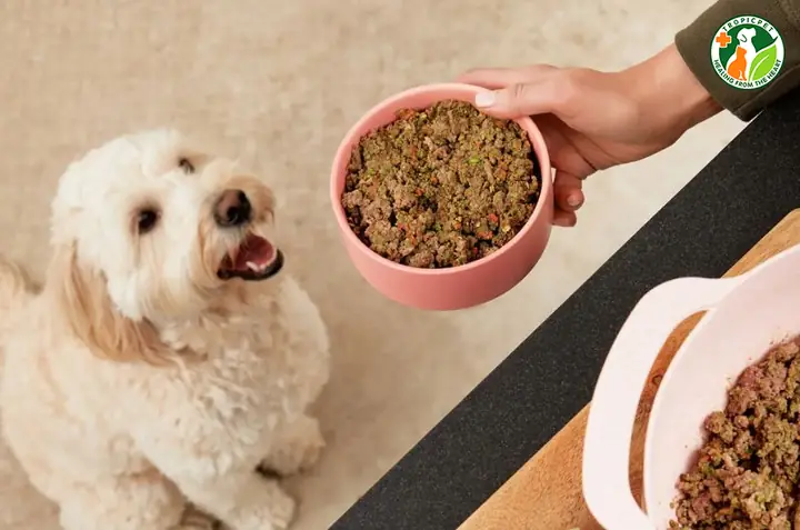 Đảm Bảo Dinh Dưỡng