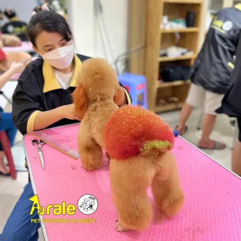 Thức Ăn Tươi Cho Chó Mèo Thương Hiệu The Boss Đã Có Mặt Tại Hệ Thống Siêu Thị Thú Cưng Arale !!!