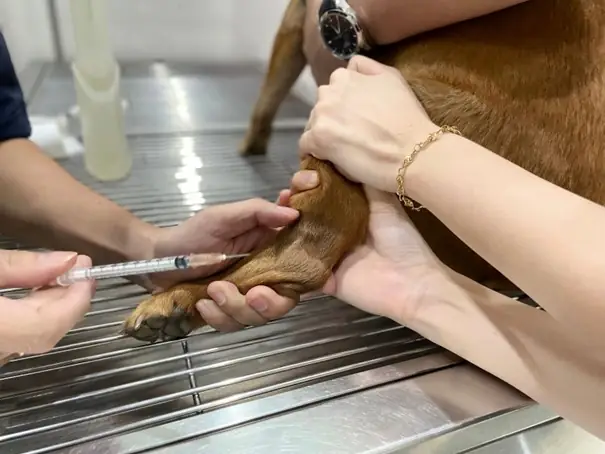 Chăm Sóc Sức Khỏe Định Kỳ