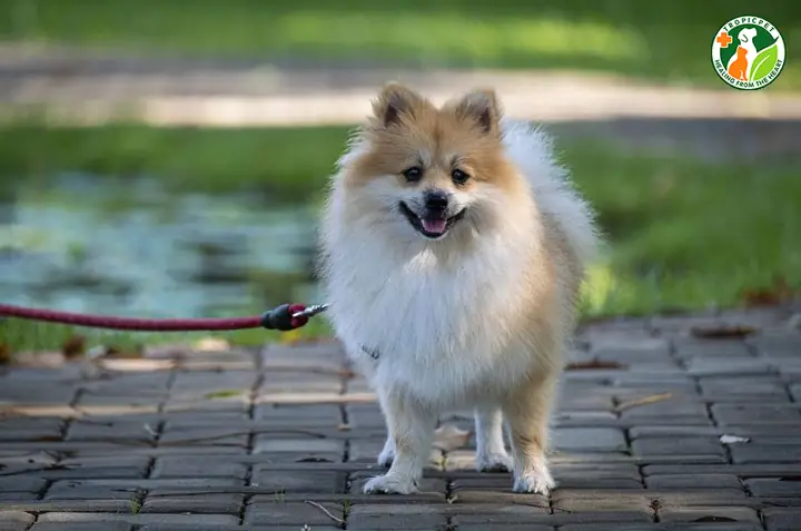 Chế Độ Dinh Dưỡng Và Sinh Hoạt