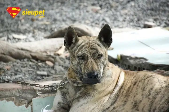 Hậu Quả Của Thừa/thiếu Cân