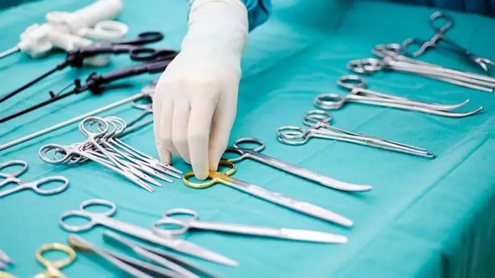 Chó Pitbull Cắn Chết Người