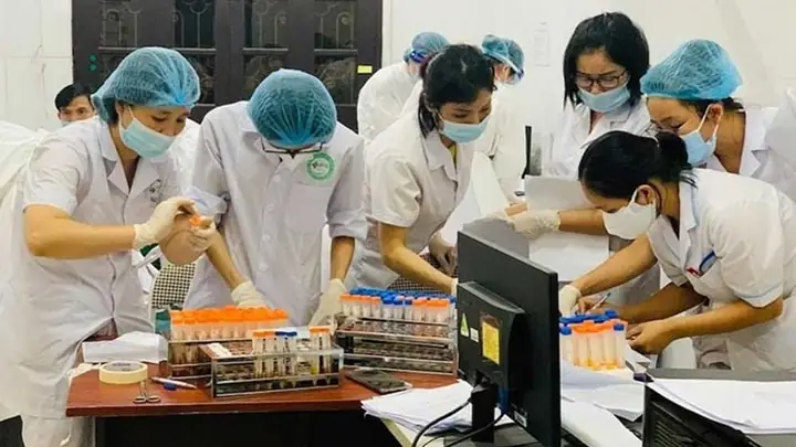 Chó Pitbull Cắn Chết Người