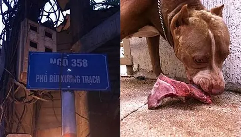 Thống Kê Và Mức Độ Nghiêm Trọng Của Các Vụ Việc