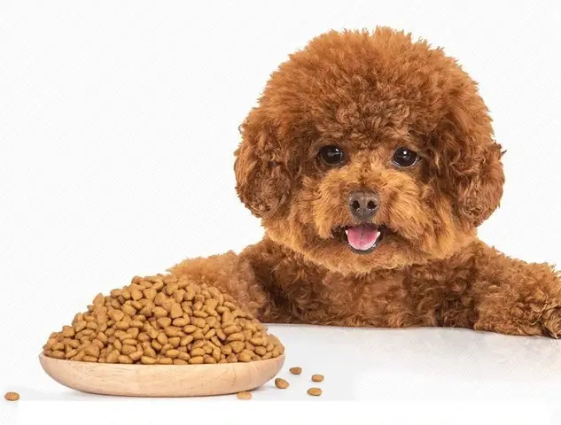 Hạt Anf Cho Chó Poodle Phù Hợp Với Giai Đoạn Nào?