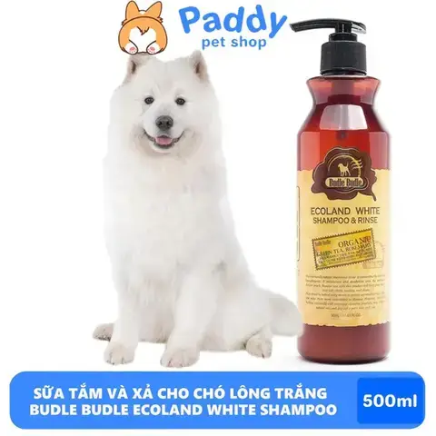 Các Yếu Tố Ảnh Hưởng Đến Tần Suất Tắm Cho Chó Poodle Các Yếu Tố Ảnh Hưởng Đến Tần Suất Tắm Cho Chó Poodle
