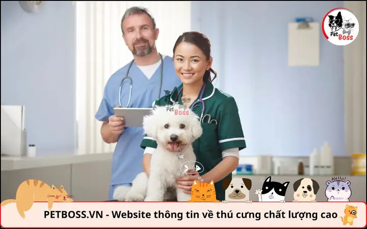 Bước 1: Chẩn Đoán Chuyên Sâu Tại Cơ Sở Thú Y – Nền Tảng Của Mọi Điều Trị Bước 1: Chẩn Đoán Chuyên Sâu Tại Cơ Sở Thú Y – Nền Tảng Của Mọi Điều Trị