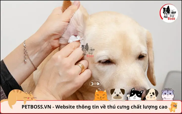 Bước 2: Các Phương Pháp Điều Trị Theo Chỉ Định Bác Sĩ Bước 2: Các Phương Pháp Điều Trị Theo Chỉ Định Bác Sĩ