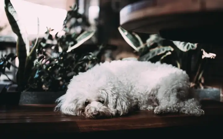 Do Chuyển Chỗ Mới