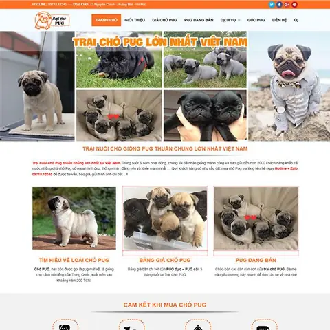 Hướng Dẫn Chi Tiết Về Chó Pug Tại Hà Nội: Chăm Sóc, Mua Bán Và Đời Sống Hướng Dẫn Chi Tiết Về Chó Pug Tại Hà Nội: Chăm Sóc, Mua Bán Và Đời Sống