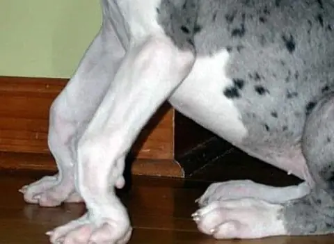 Đặc Điểm Đặc Điểm