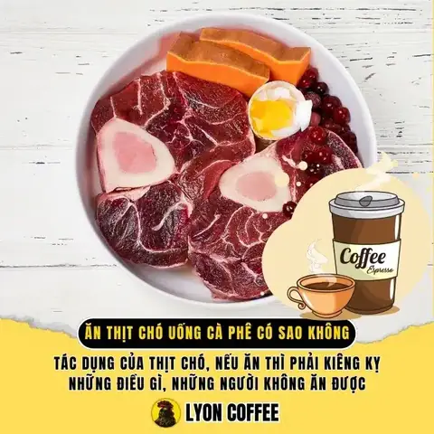 Ăn Thịt Chó Uống Cà Phê Có Sao Không, Tìm Hiểu Tác Dụng Của Thịt Chó Tốt Không, Nếu Ăn Phải Kiêng Kỵ Gì Và Những Người Không Được Ăn
