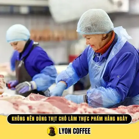 Ăn Thịt Chó Có Tốt Không?