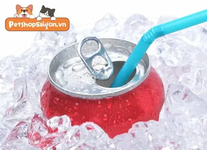 Cách Huấn Luyện Chó Tránh Xa Nước Ngọt Cách Huấn Luyện Chó Tránh Xa Nước Ngọt