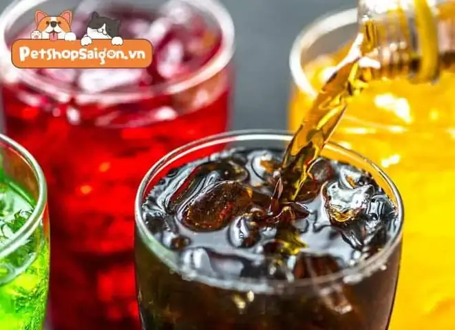 Dấu Hiệu Chó Uống Nước Ngọt Quá Nhiều Dấu Hiệu Chó Uống Nước Ngọt Quá Nhiều