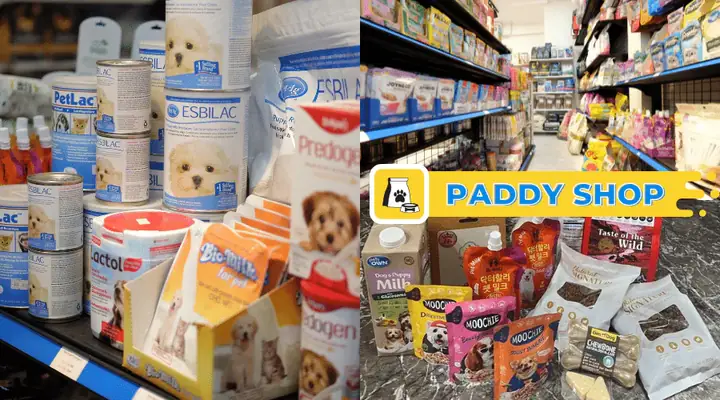 Lưu Ý Dùng Sữa Cho Chó Con Đúng Cách Lưu Ý Dùng Sữa Cho Chó Con Đúng Cách