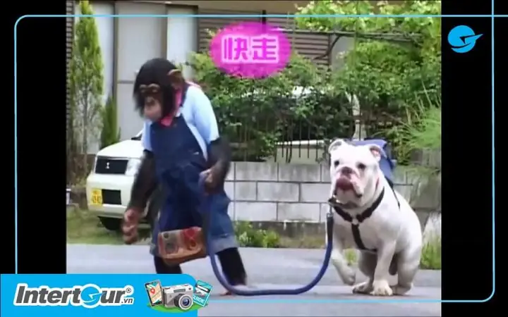 Các Thành Phố Hoặc Khu Vực Khác