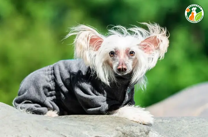 Chăm Sóc Sức Khỏe Chăm Sóc Sức Khỏe