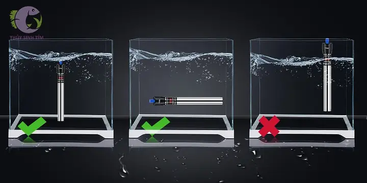 Cách Sử Dụng Máy Sưởi Bể Cá An Toàn