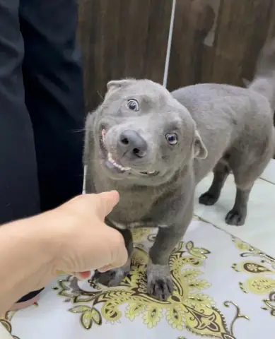 Loạt Ảnh Hiếm Của Quan Lại Cuối Nhà Thanh: Có “kinh Thành Tam Thiếu” Nổi Tiếng Thời Hoàng Đế Quang Tự Loạt Ảnh Hiếm Của Quan Lại Cuối Nhà Thanh: Có “kinh Thành Tam Thiếu” Nổi Tiếng Thời Hoàng Đế Quang Tự