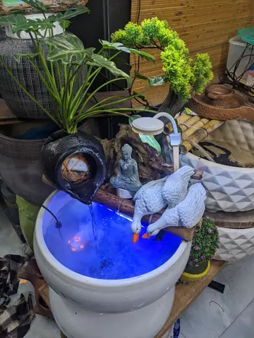 Chum Lọc Nước Bể Cá Gốm Bàu Trúc – Sự Lựa Chọn Hoàn Hảo ...