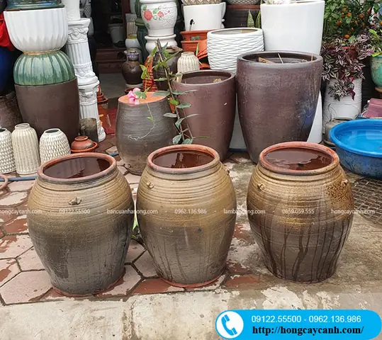 Tác Dụng Của Chum Sành