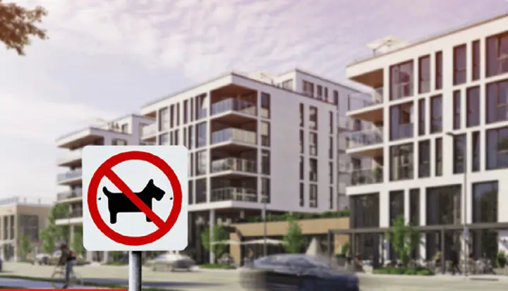 Chung Cư Cho Nuôi Chó