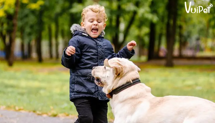 Tại Sao Nuôi Chó Ở Chung Cư Lại “bị Làm” Khó Khăn?