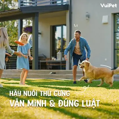 Quy-dinh-nuoi-cho-meo-dung-luat-vuipet-14