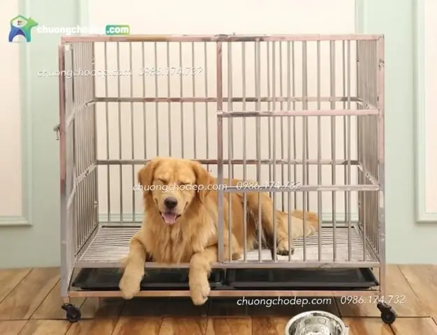 Hướng Dẫn Chi Tiết Về Chuồng Chó Lắp Ghép Tphcm: Lựa Chọn Phù Hợp Cho Thú Cưng Của Bạn