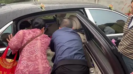 Hướng Dẫn Chăm Sóc Và Huấn Luyện Chú Chó Cưng Của Cô Chủ: Bí Quyết Xây Dựng Tình Bạn Bền Chặt Hướng Dẫn Chăm Sóc Và Huấn Luyện Chú Chó Cưng Của Cô Chủ: Bí Quyết Xây Dựng Tình Bạn Bền Chặt