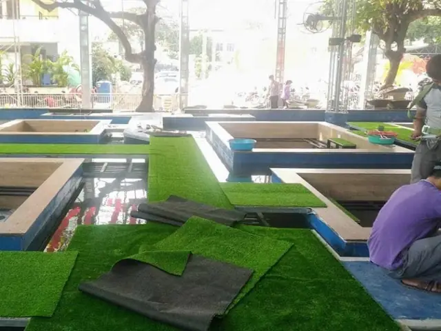 Thi Công Cỏ Nhân Tạo Lót Lối Đi Cho Cà Phê Koi