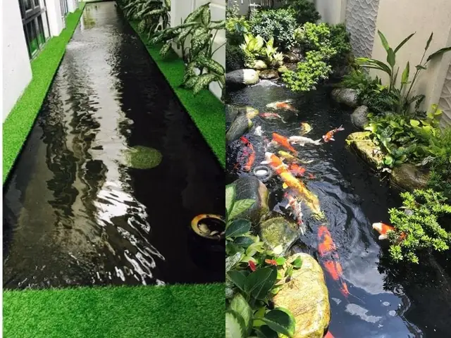 Cỏ Nhân Tạo Lên Hình Với Hồ Cá