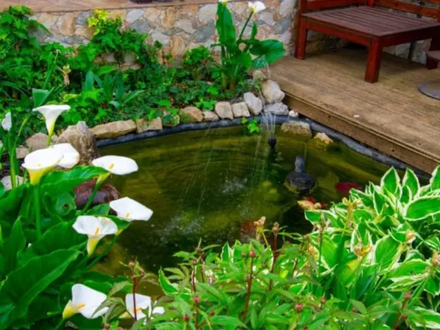 Khuôn Viên Thêm Đẹp Khi Có Cỏ Nhân Tạo