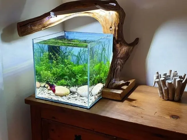 Một Góc Xanh Xanh