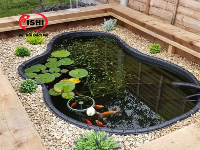Có Nên Rải Sỏi Đáy Hồ Cá Koi?