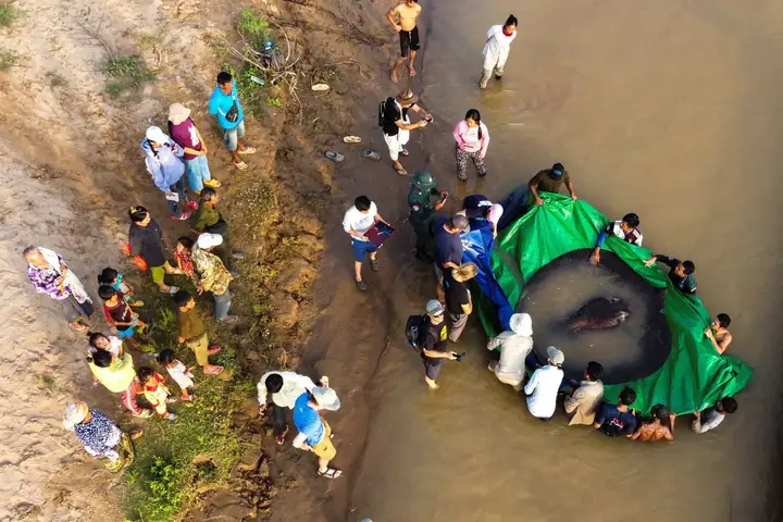 Tránh Được Nguy Cơ Tuyệt Chủng