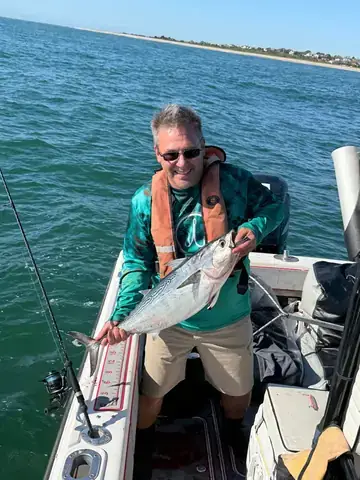 Con Cá Mập Ba Đầu: Từ Khoa Học Viễn Tưởng Đến Văn Hóa Đại Chúng