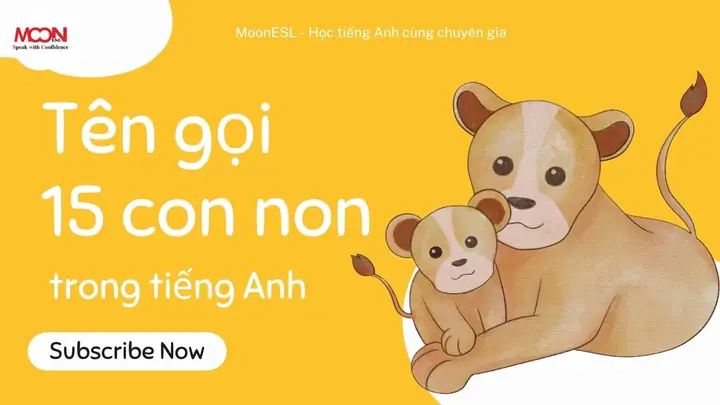 Tên Gọi 15 Con Non Phổ Biến Trong Tiếng Anh - Moon Esl