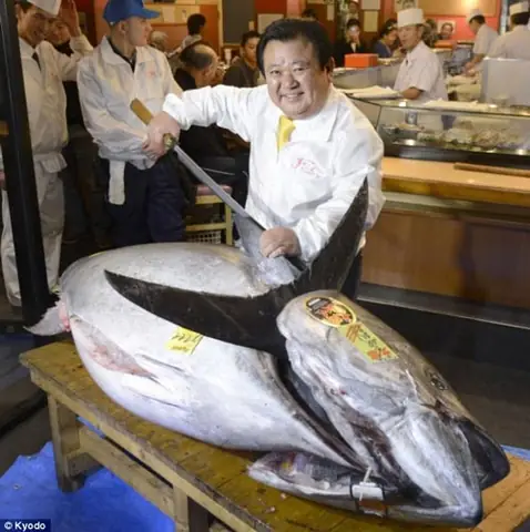 Cá Ngừ Vây Xanh: Loài Cá Đắt Nhất Thế Giới Có Gì Đặc Biệt?