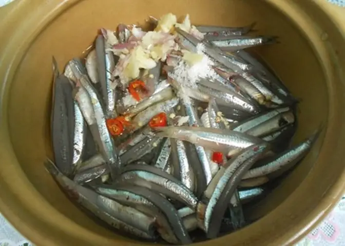 Con Cá Thầu Dầu