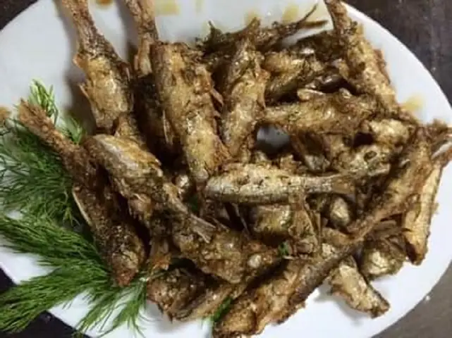 Con Cá Thầu Dầu