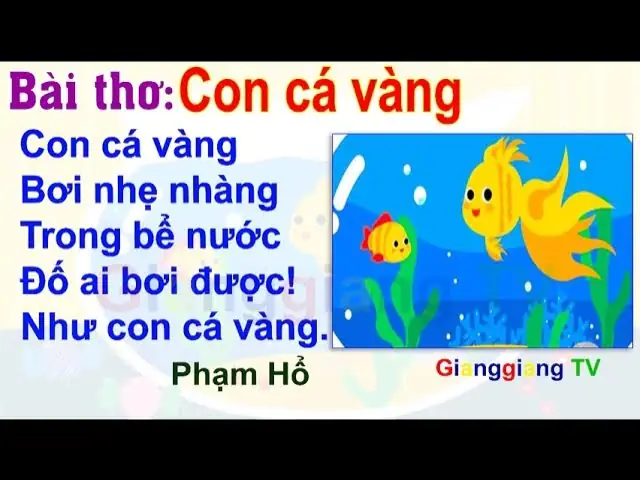 Cá Vàng Bơi Lội: Toàn Cảnh Về Loài Cá Cảnh Được Yêu Thích Nhất Thế Giới